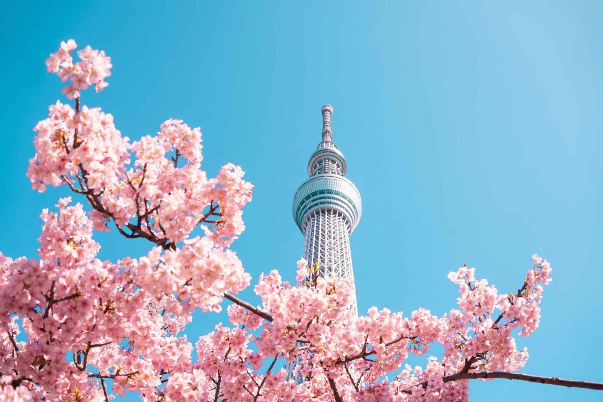 Fl Hotel Asakusa Tokio Exterior foto